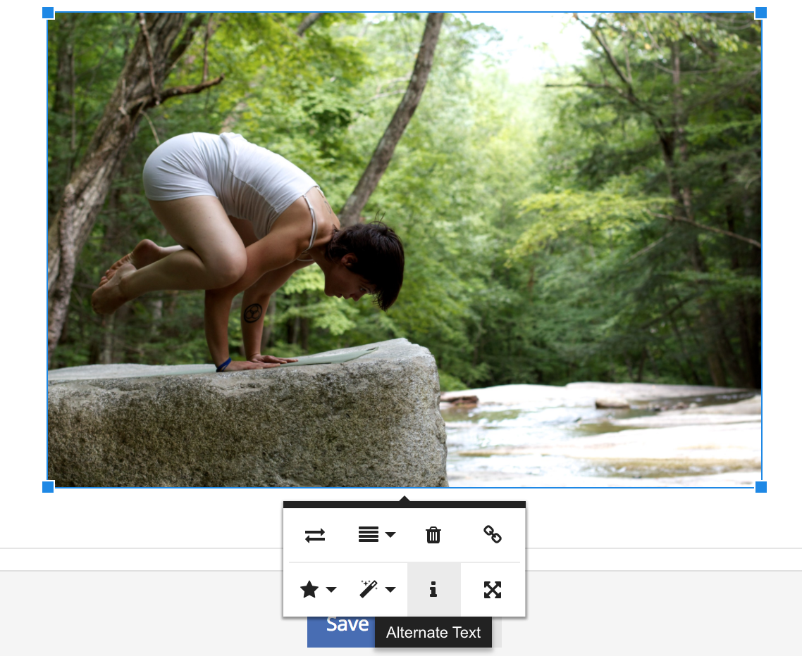 Alt-text can affect blog article SEO, here is where to find it on Wavoto.