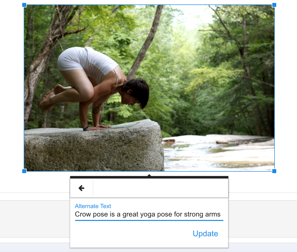 When editing your alt-text for blog article SEO, make sure to include full sentences and your focus keyword.
