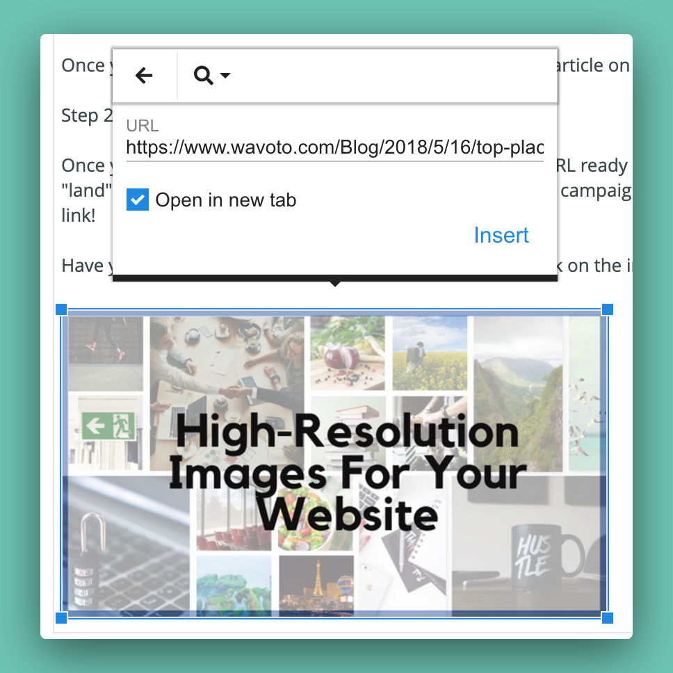 Once you click the "Insert Link" button, paste your landing page link into the URL section and you're all set with your clickable image!