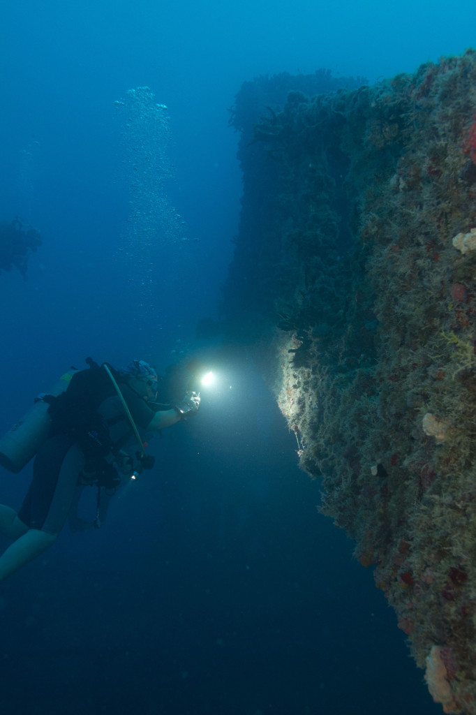 Diver-Taking-Photo-on-Spigel-Grove
