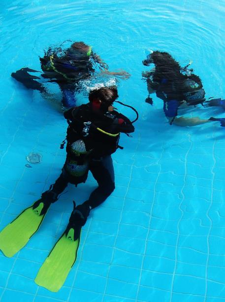 Try Scuba Diving