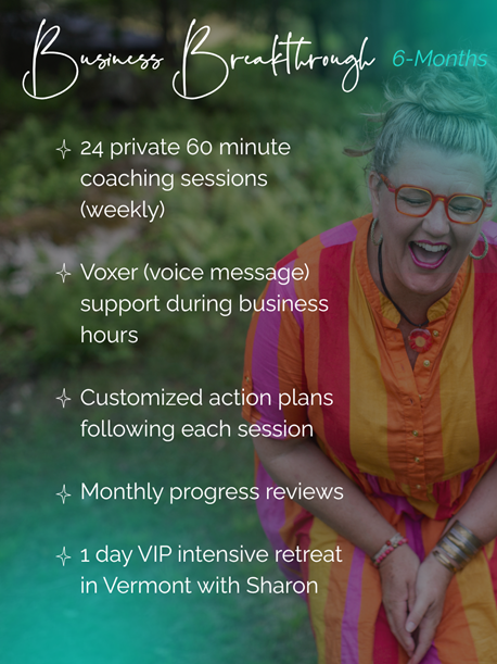 <h2><strong><span style=color: rgb(237, 50, 185);>Elite Business Transformation Coaching</span></strong></h2>