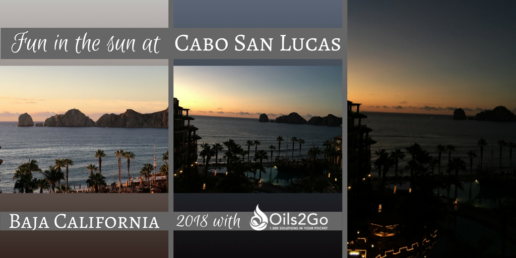 I connected to my life source recently in Cabo San Lucas. How do you connect to your life source?