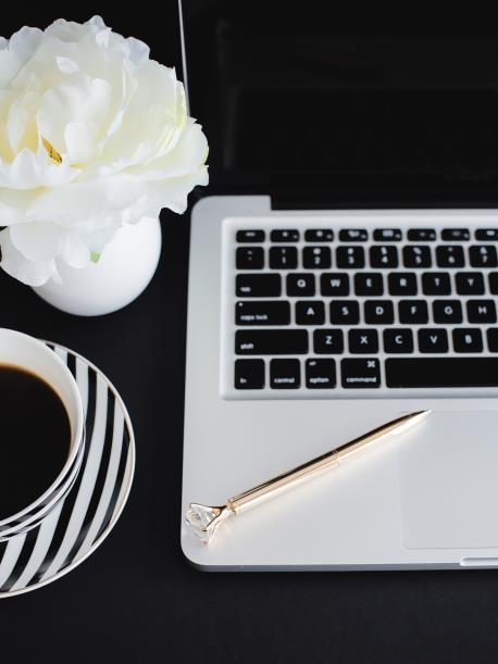 Professional Website