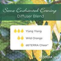 Some Enchanted Evening Diffuser Blend with Ylang Ylang, Wild Orange, and Cheer