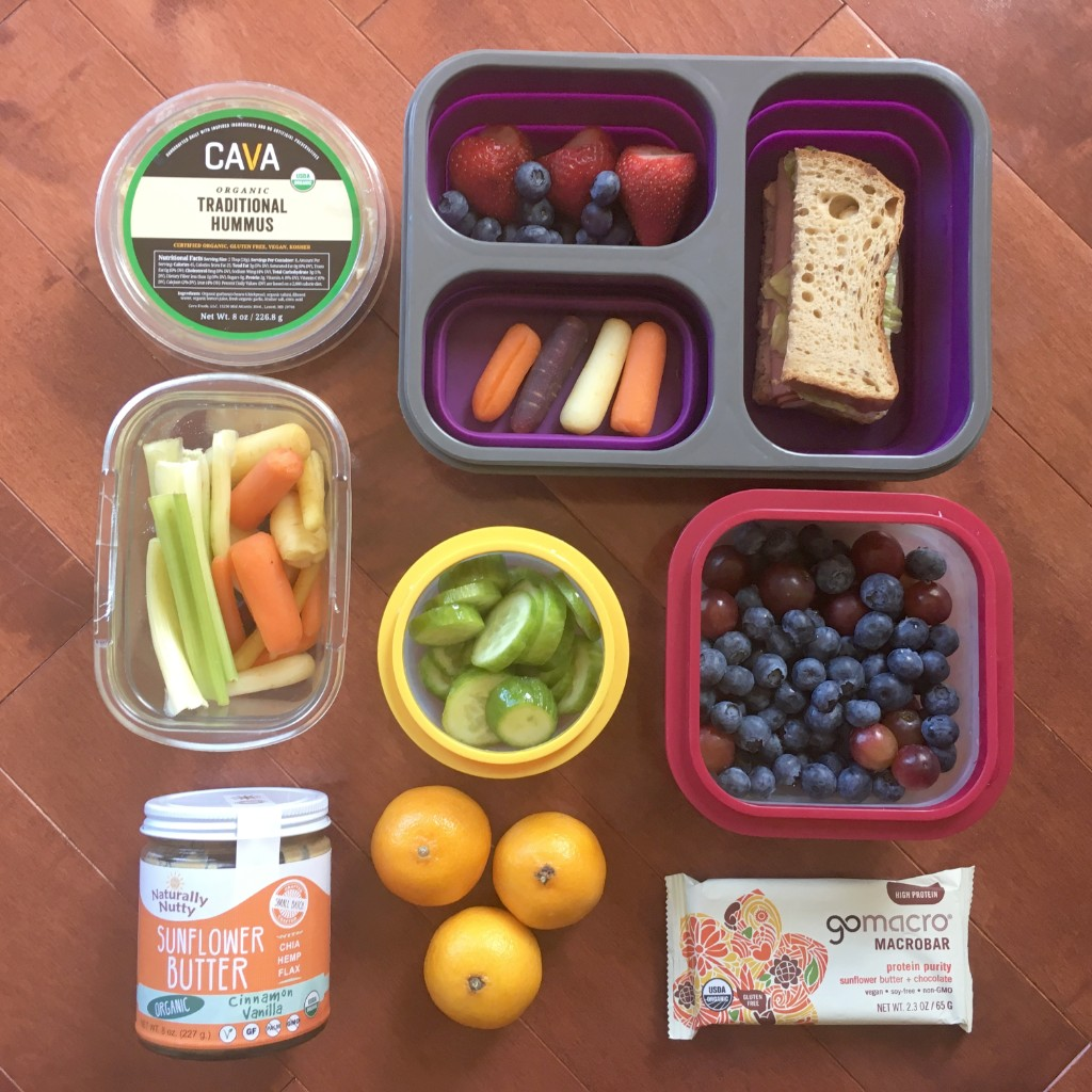 Examples of Healthy Travel Snacks