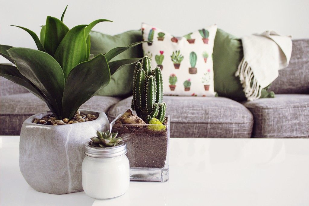 Healthy Body, Healthy Home Coaching