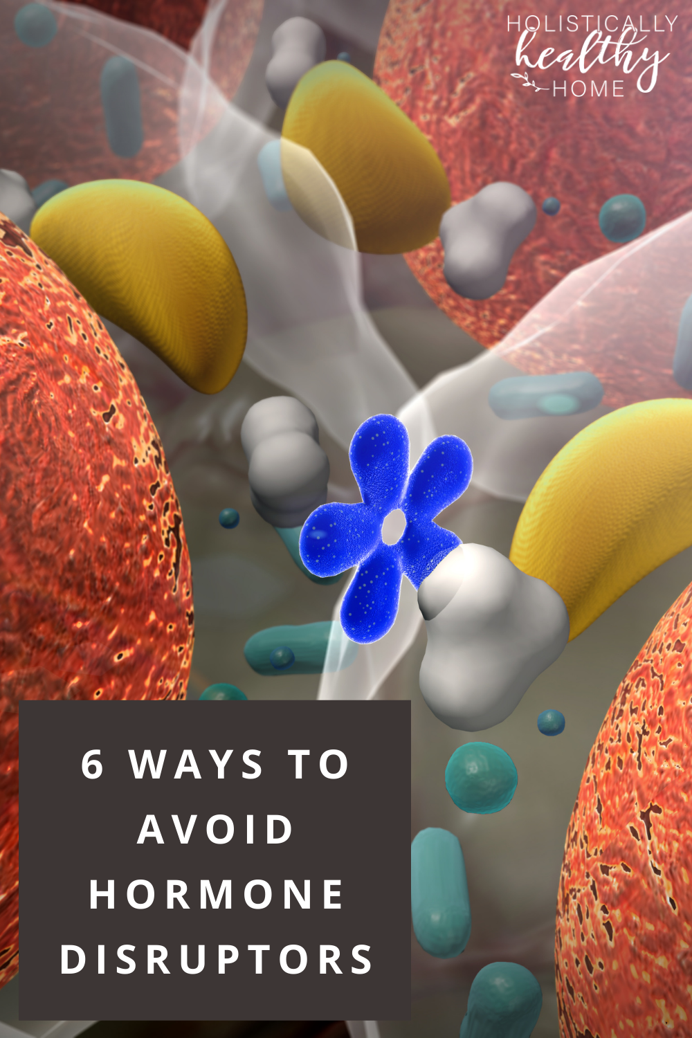 6 Ways to Avoid Hormone Disruptors  #hormonedisruptor #endocrinedisruptor #hormonebalancing #hormoneimbalance