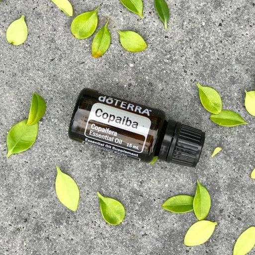 doTERRA copaiba essential oil