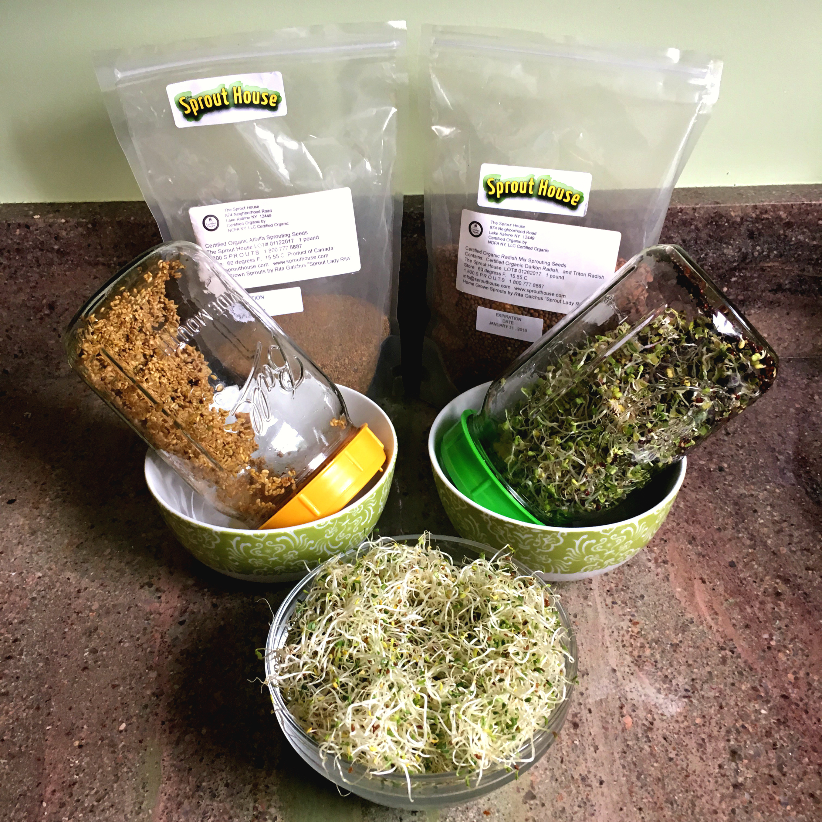 Growing your own sprouts is easy and saves money! 