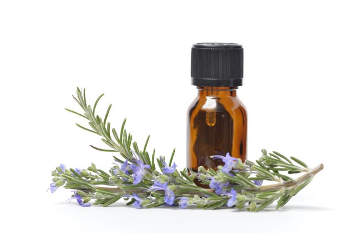 rosemary essential oil