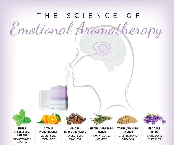 Impact of Essential Oil Families on Emotions