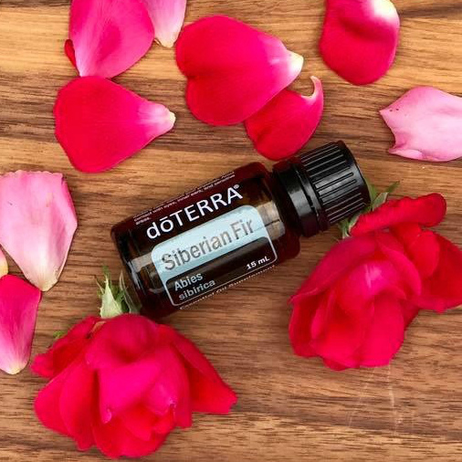 doTERRA Siberian Fir essential oil