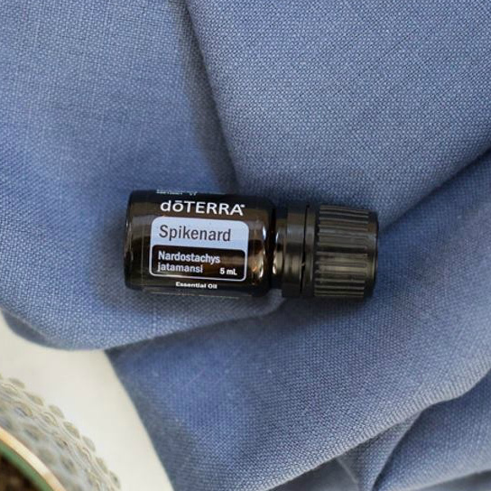 doTERRA Spikenard essential oil