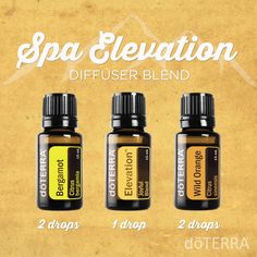 Spa Elevation Diffuser Blend with Bergamot, Elevation, and Wild Orange