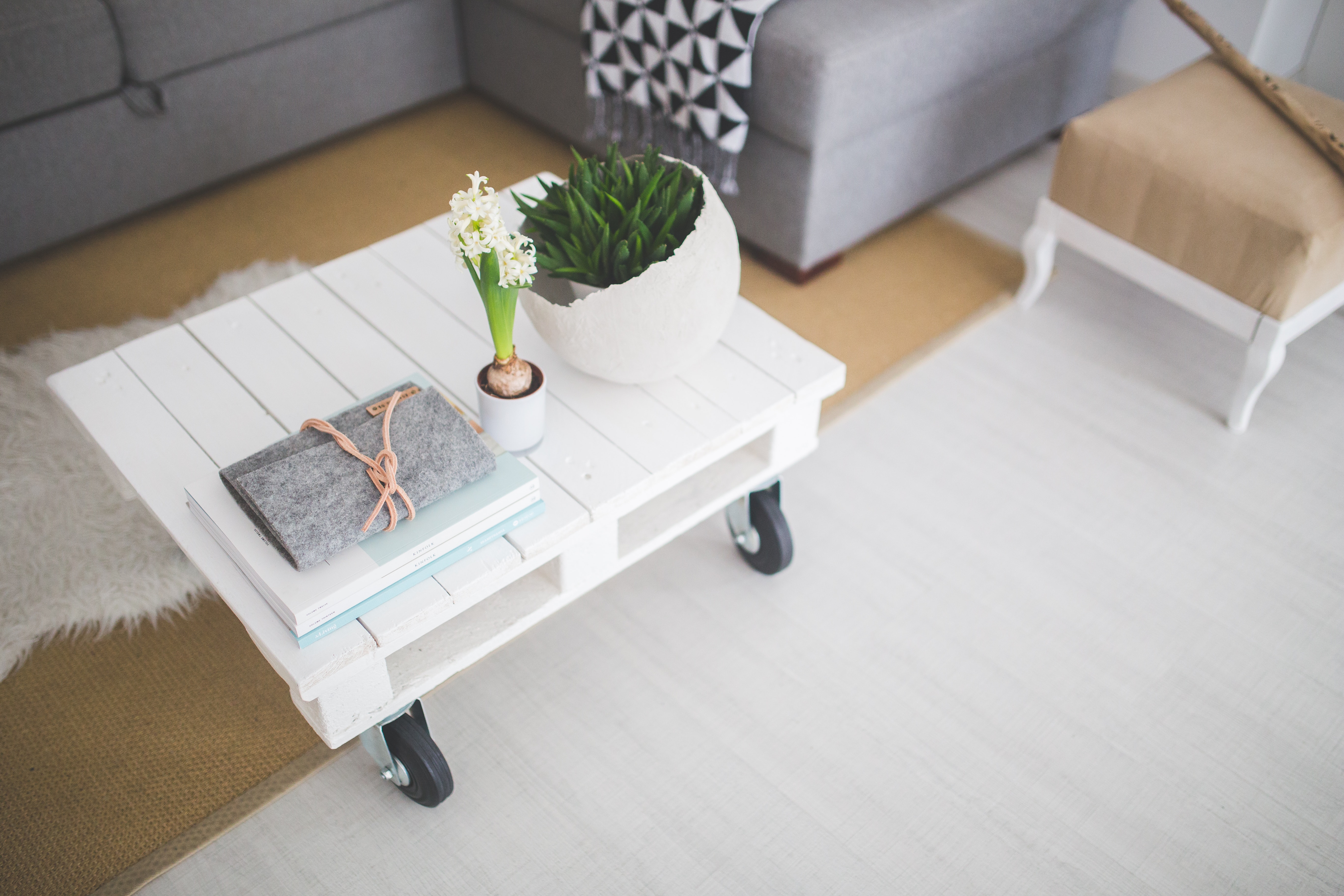 Best Healthy Products to Create a Healthy Home