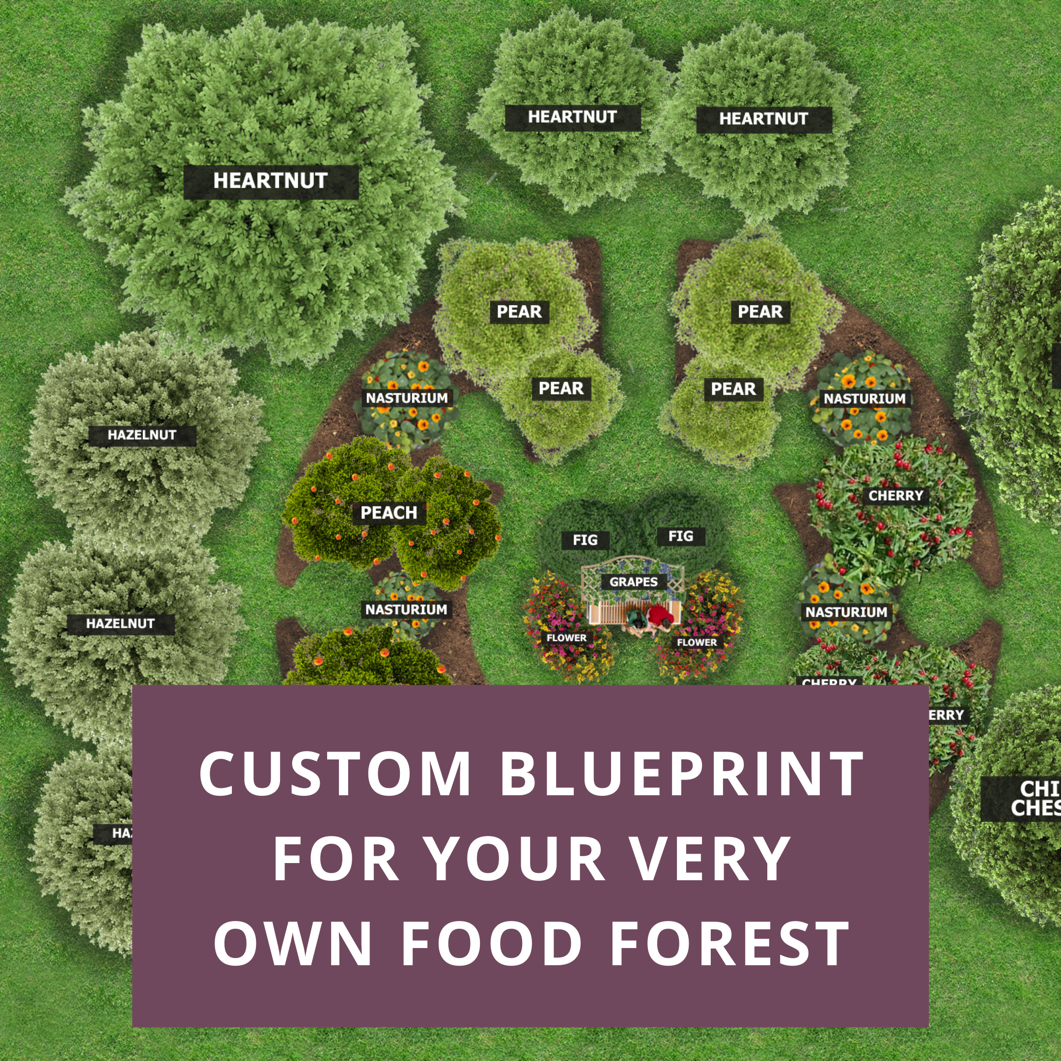 Every home should have a food forest! Ask a permaculture designer to create a custom food forest blueprint for you! 