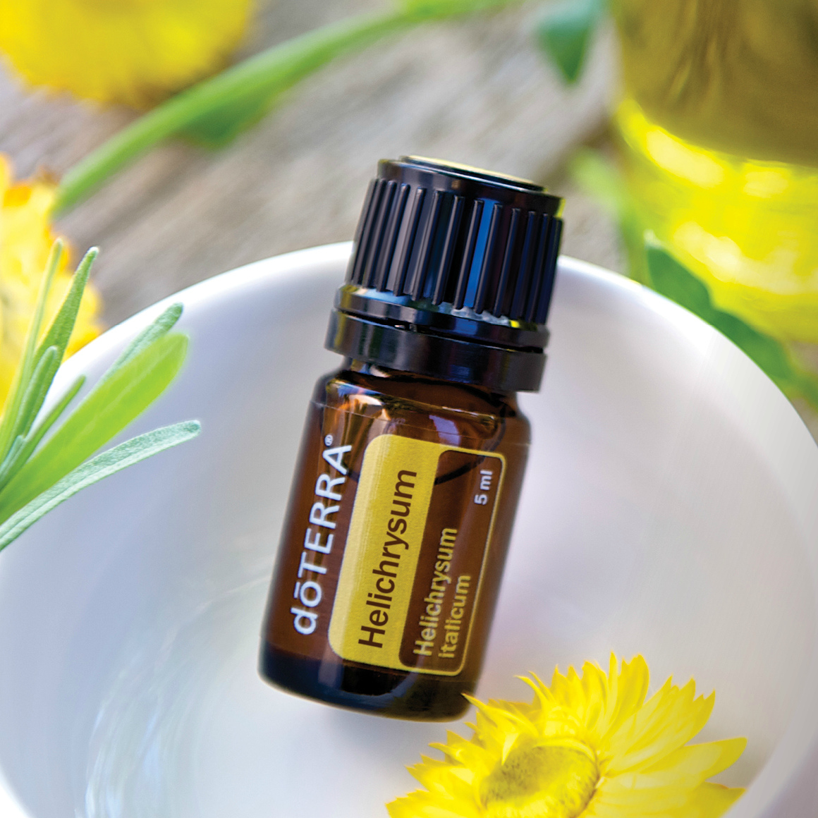 doTERRA Helichrysum essential oil