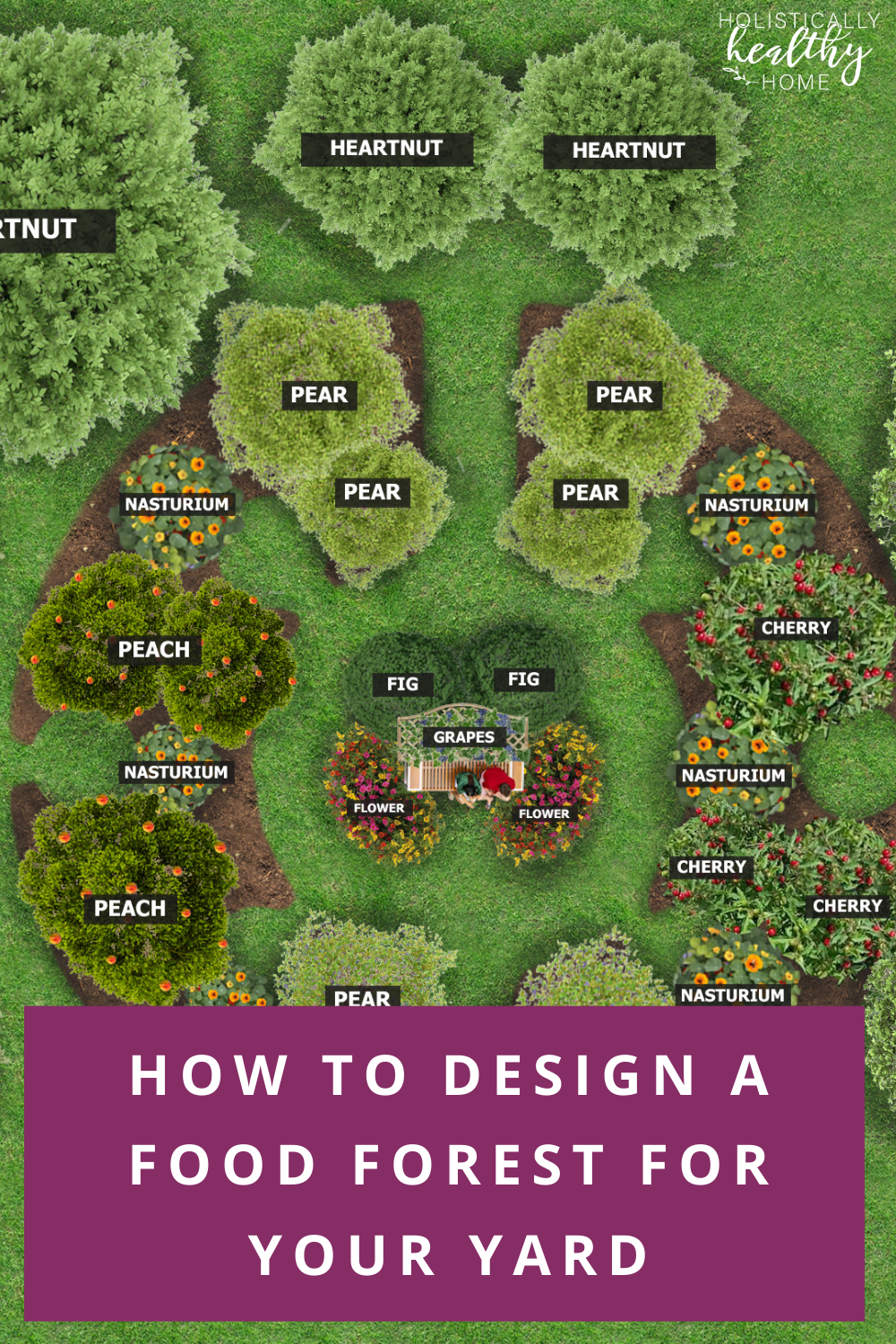 How to design a food forest in your yard  #foodforest #foodsecurity #growyourownfood #permaculture #foodforestgarden #foodfreedom #foodforestlayout #foodforestdesign