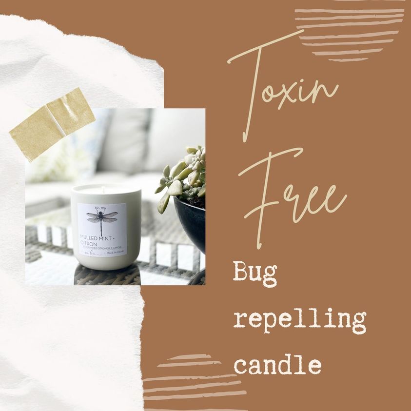 Toxin-free bug repelling candle #toxinfreecandle #insectrepellingcandle Use code HHH10 to get 10% off at checkout!