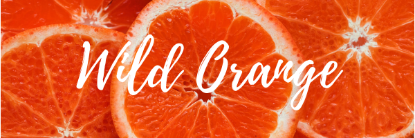 Wild Orange essential oil benefits