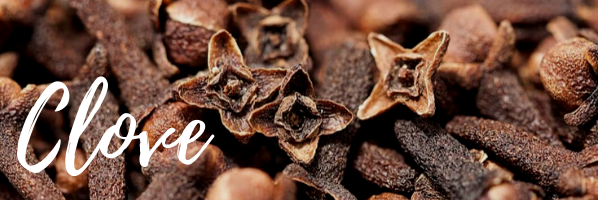 Clove essential oil benefits