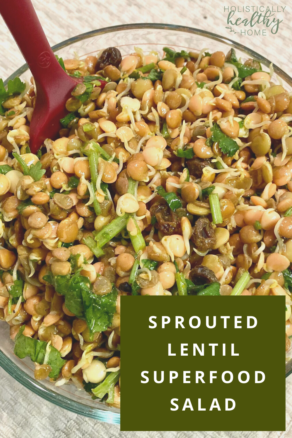 Sprouted Lentil Superfood Salad Recipe #sproutedlentils #howtosproutlentils #sproutedlegumes #howtosproutbeans