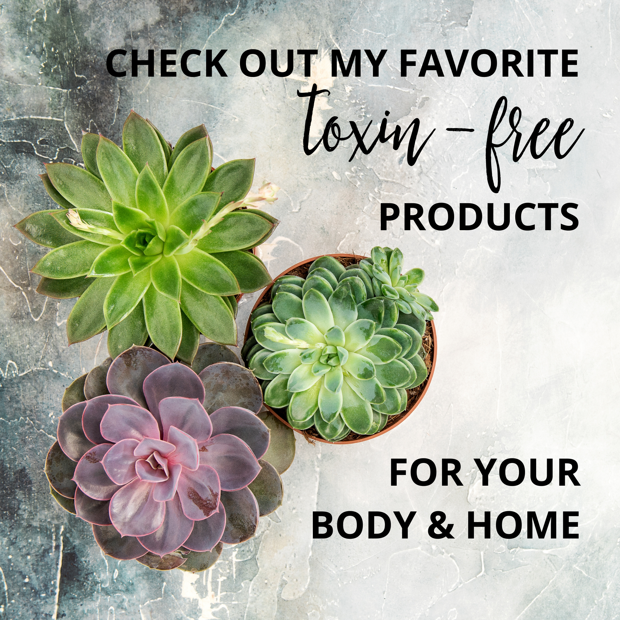 Check out some of my favorite toxin-free products for your body and home!