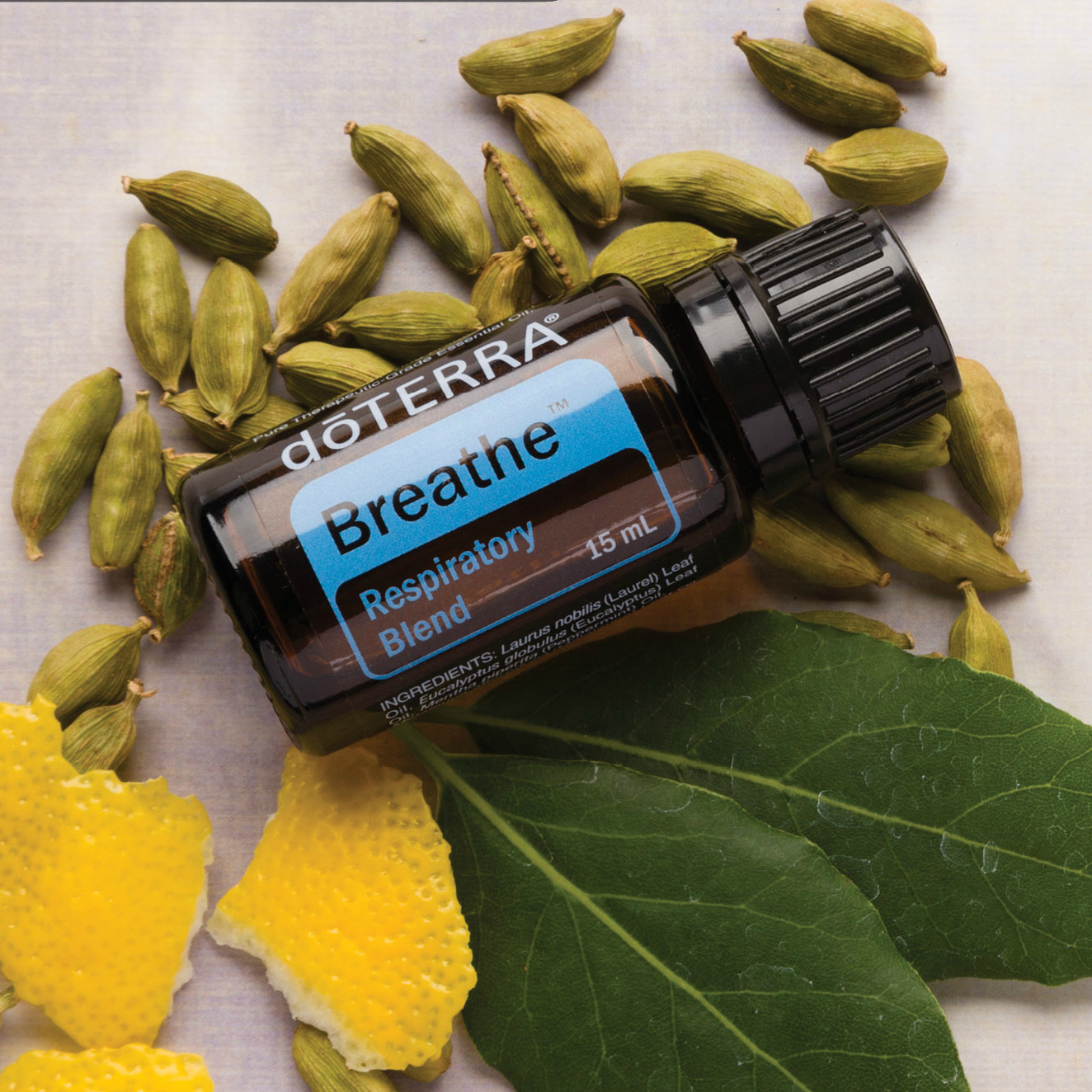doTERRA Breathe essential oil blend