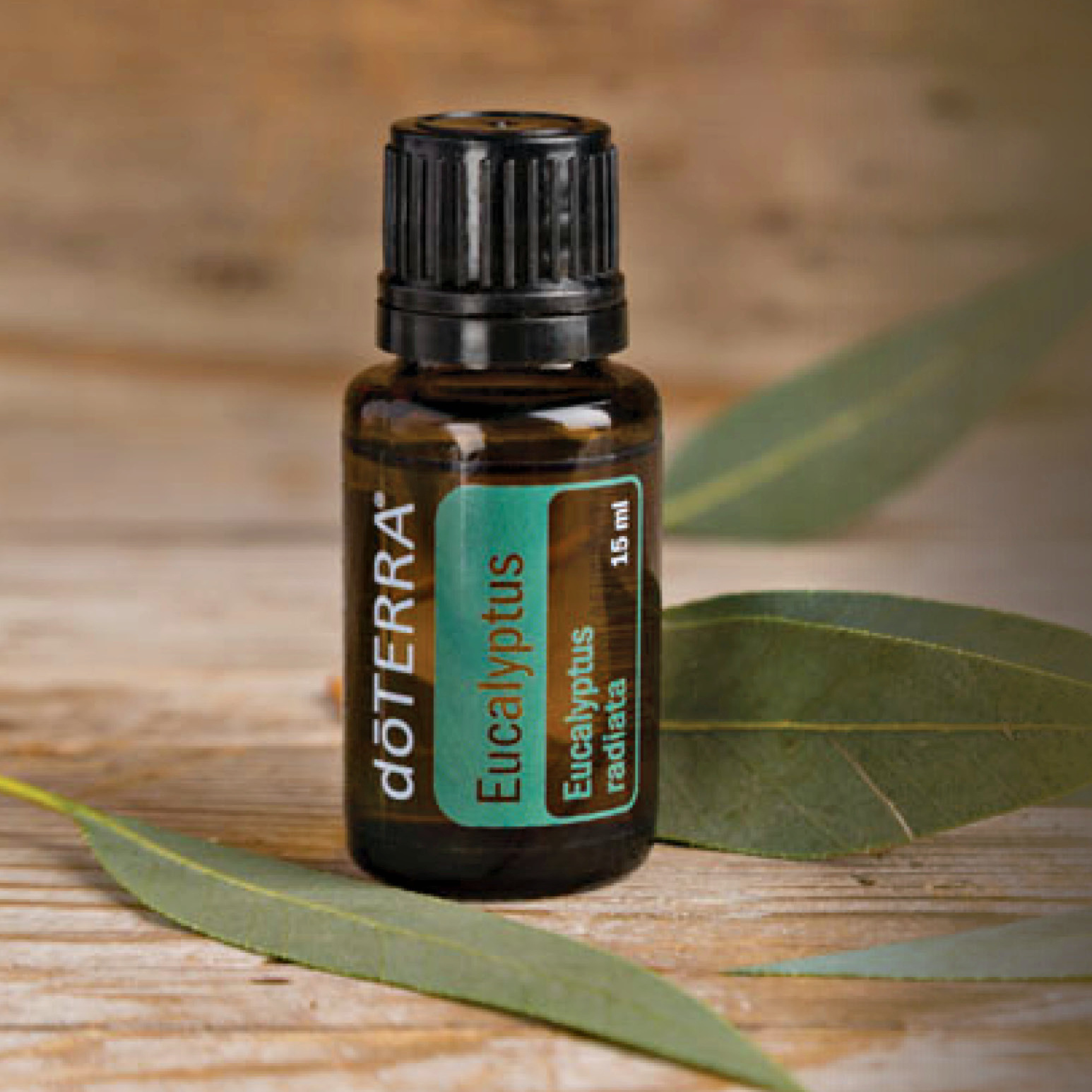 doTERRA Eucaplyptus Essential Oil