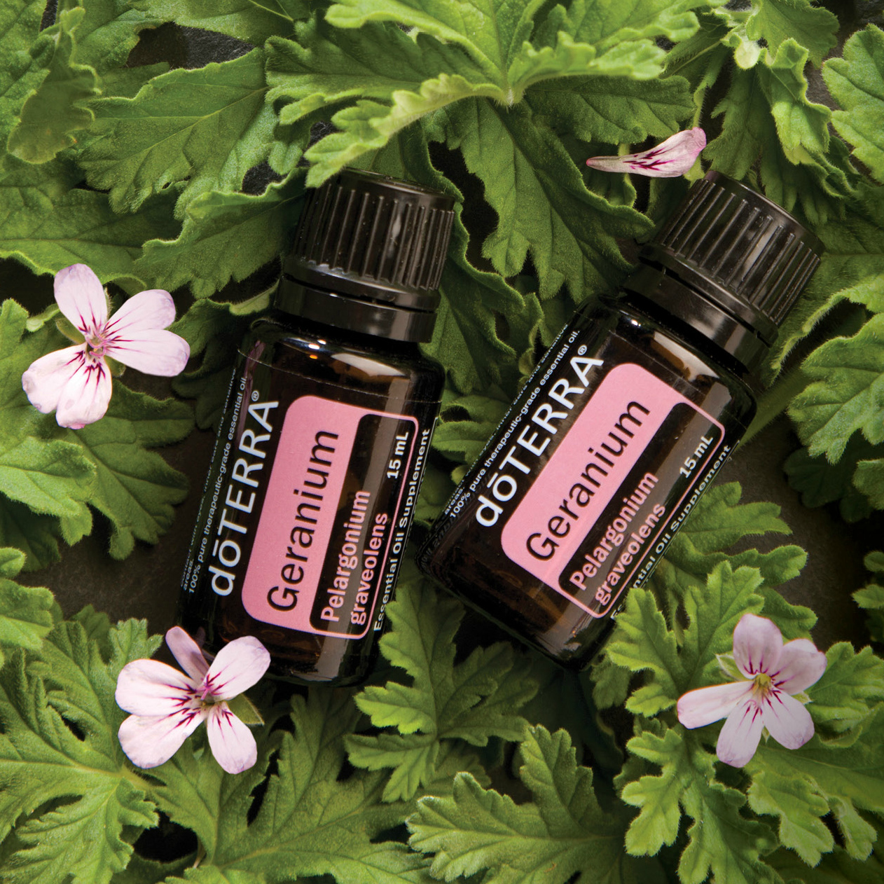 doTERRA geranium essential oil