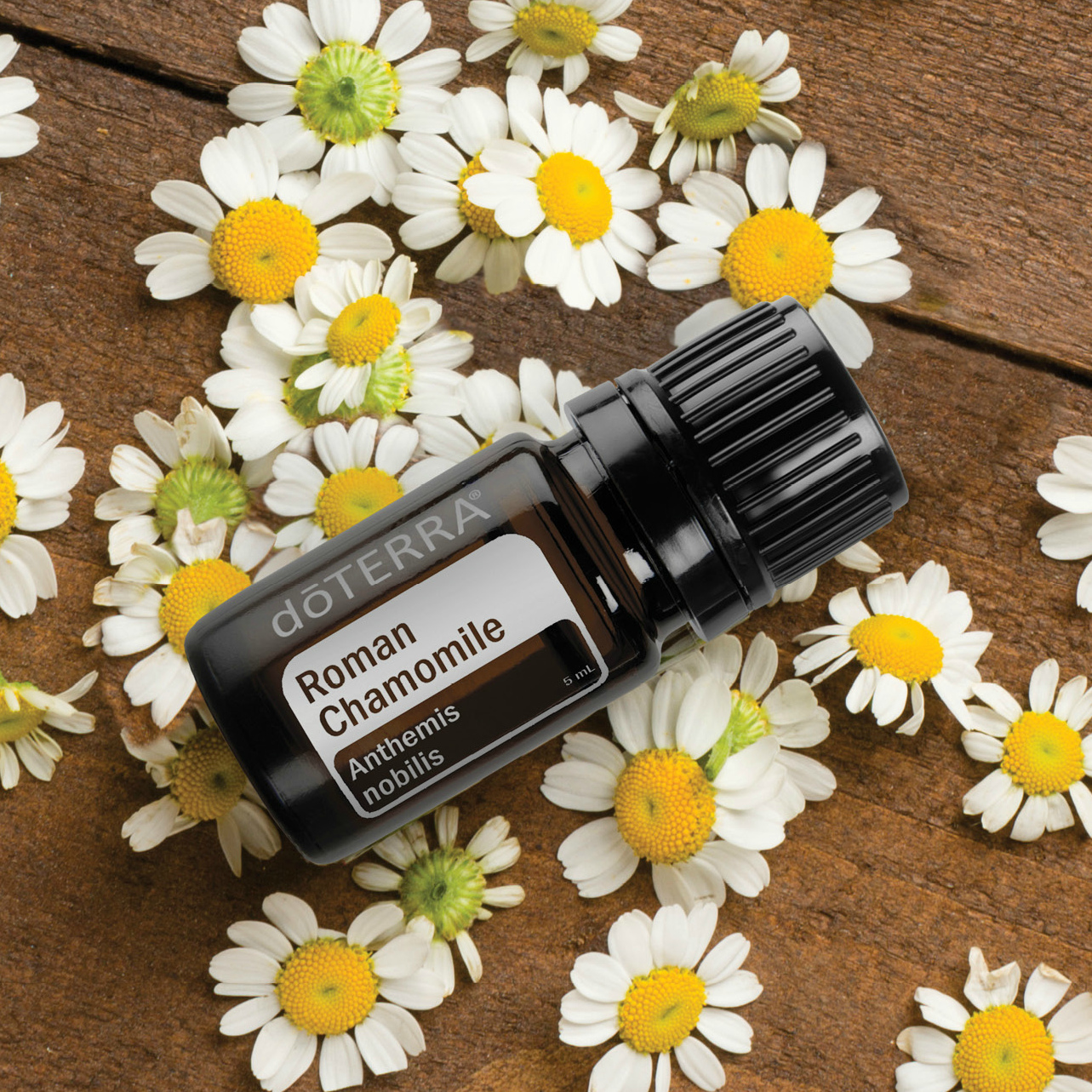 doTERRA Roman Chamomile essential oil