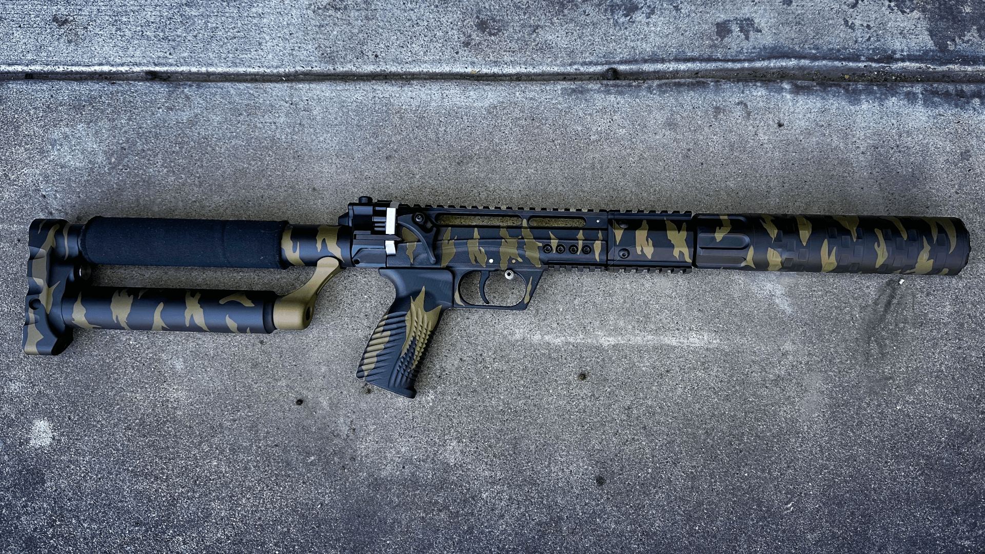 the Ultimate, Custom Cerakote, EDgun Leshiy 2