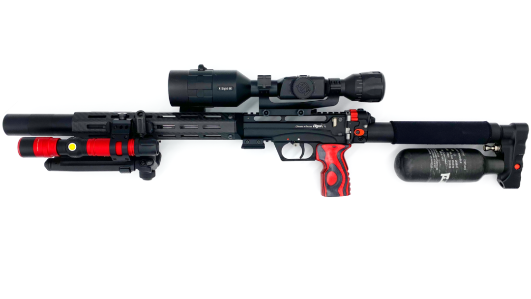 EDgun Leshiy 2 .25 cal - backyard bully buster