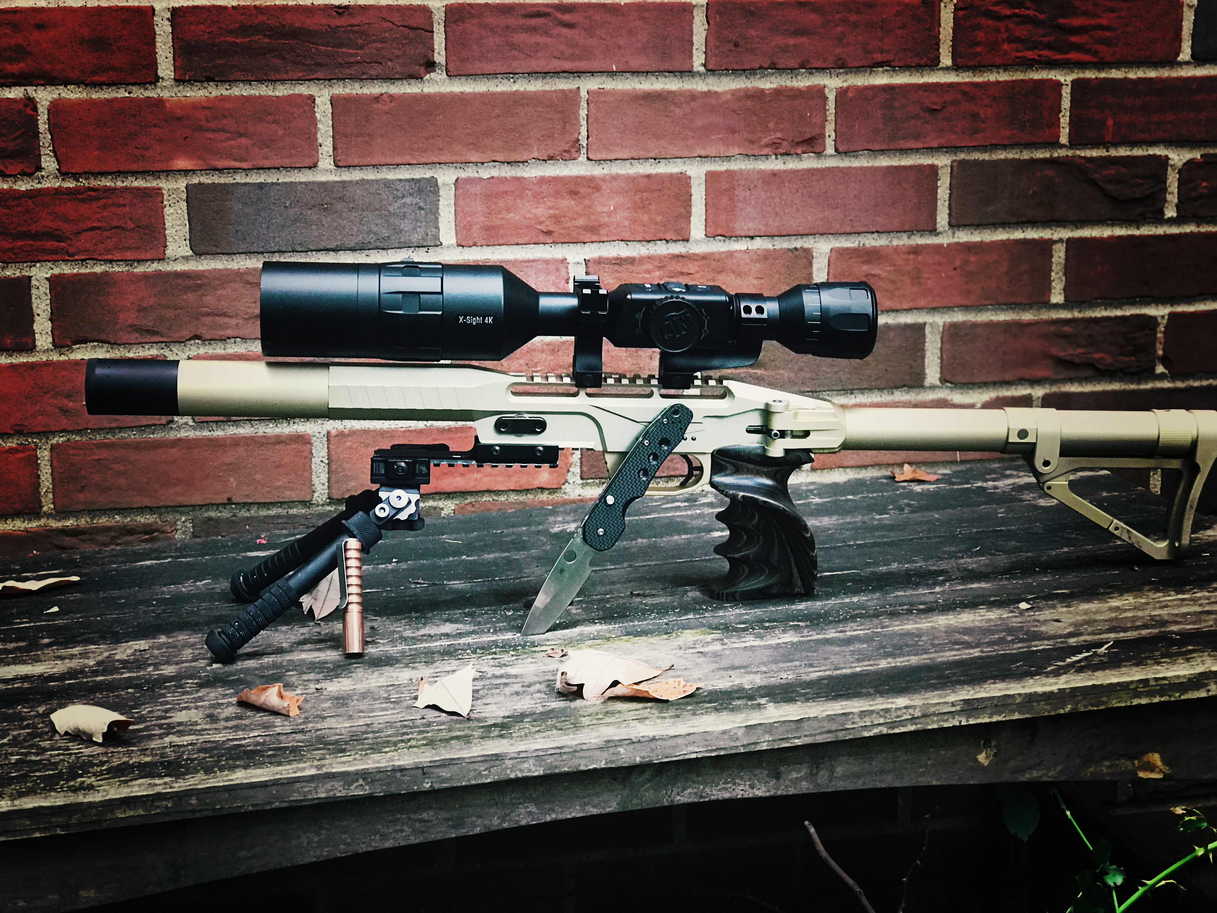 Airgun 101 - EDgun Leshiy, ATN X Sight 4K Pro, Atlas Bipod, Streamlight TLR 1 IR