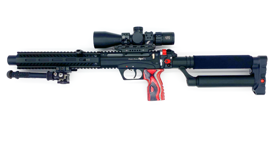 EDgun Leshiy 2 .22 cal from EDgun West
