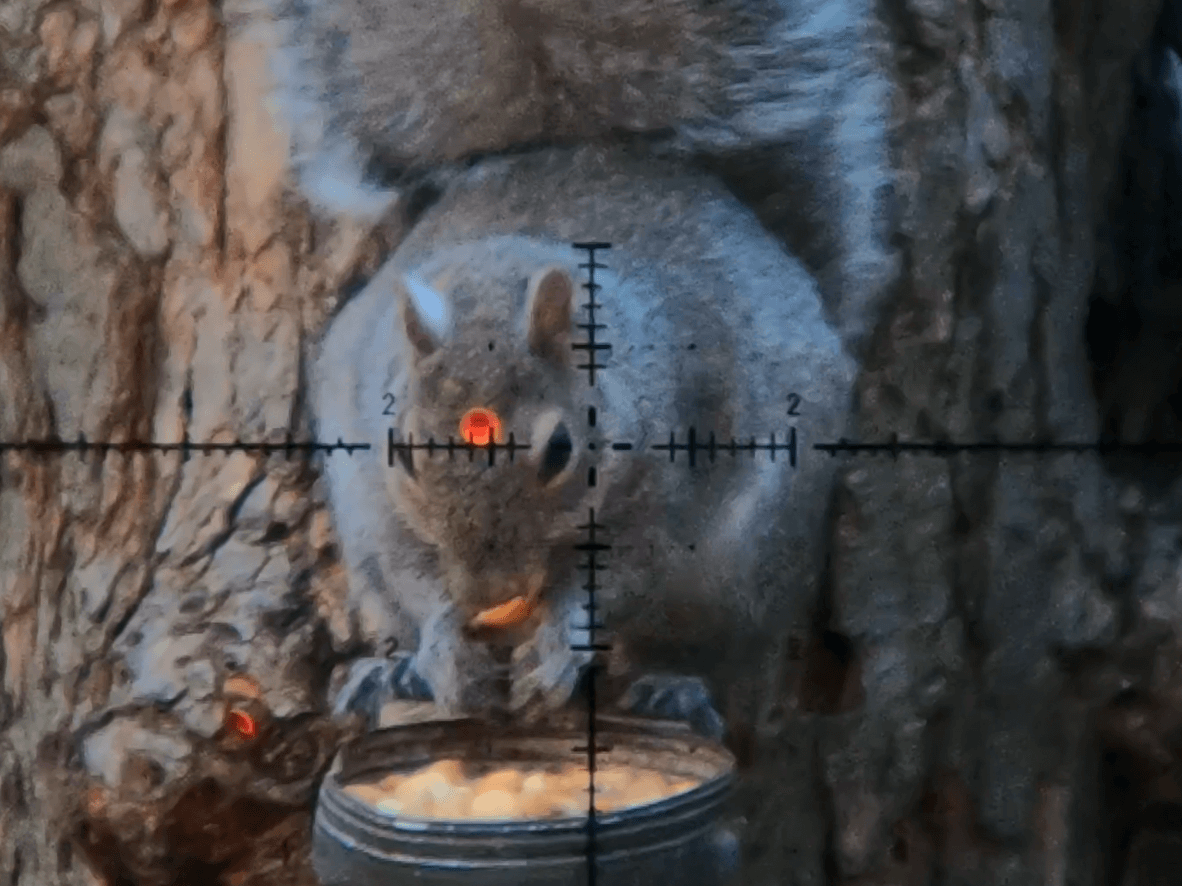 EDgun Leshiy 2 Accuracy