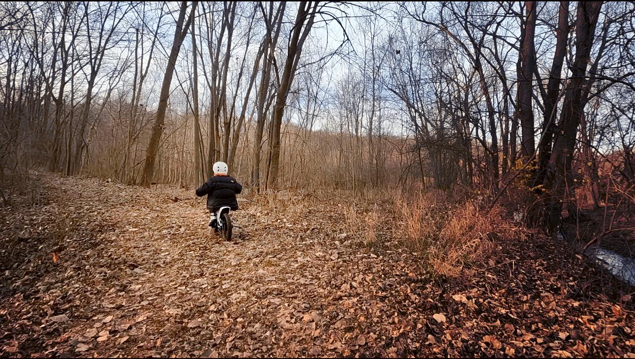 Himiway C1 Kids eBike - EDgun Leshiy Channel