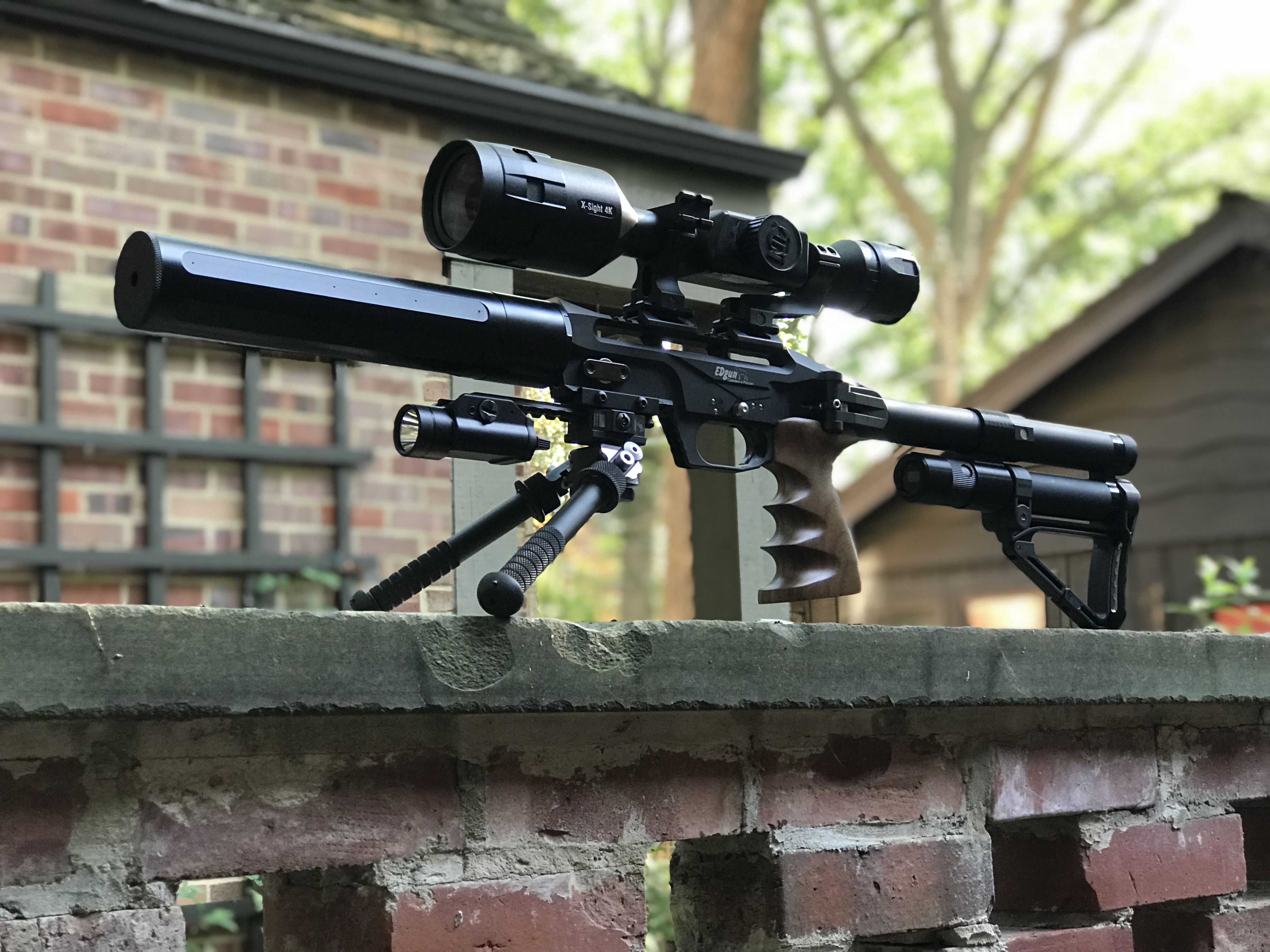 Modified Edgun Leshiy - ultra backyard friendly