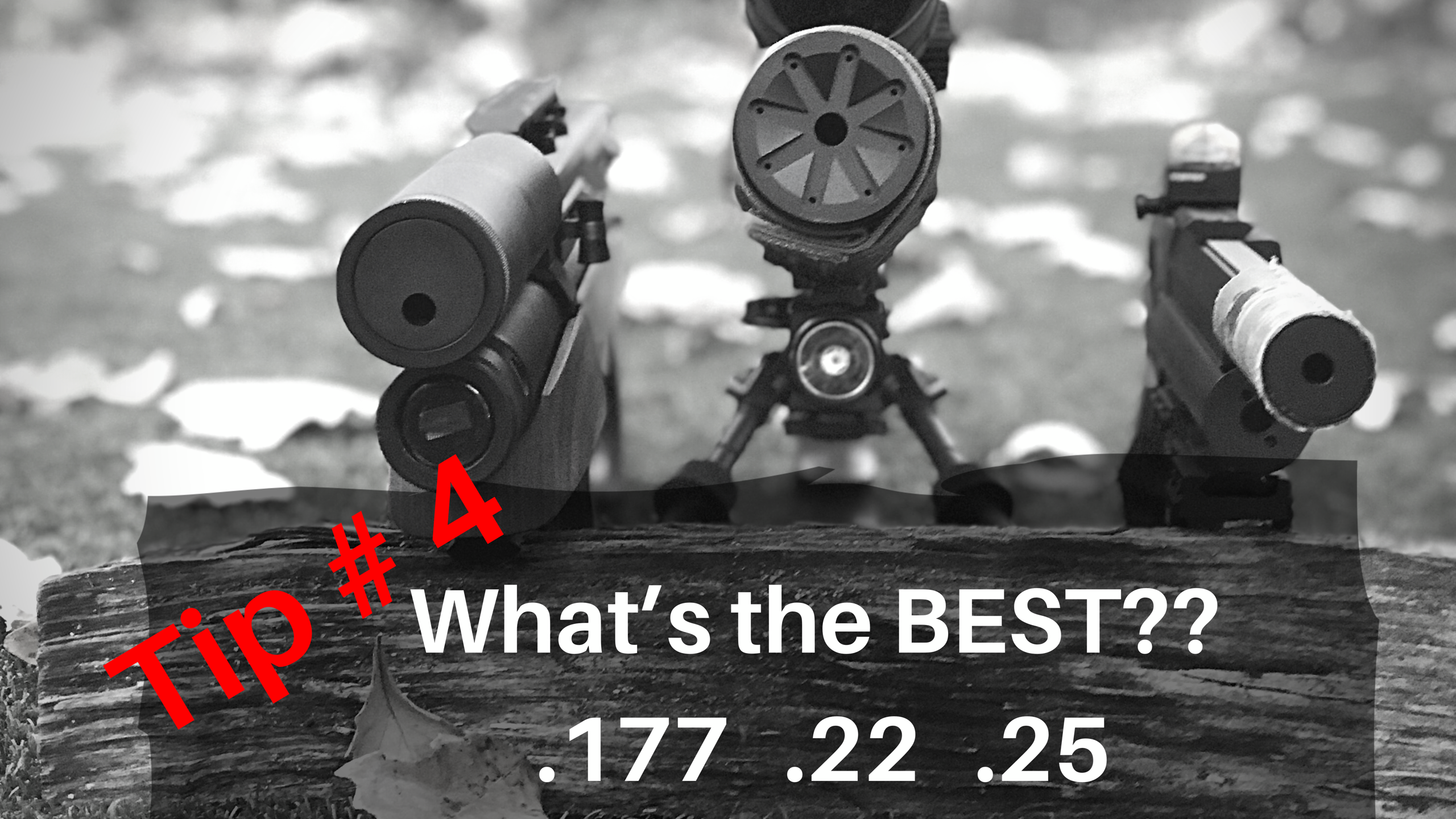 Squirrel Hunting Tip #4: Best Caliber - EDgun Leshiy, ATN X Sight 4K Pro