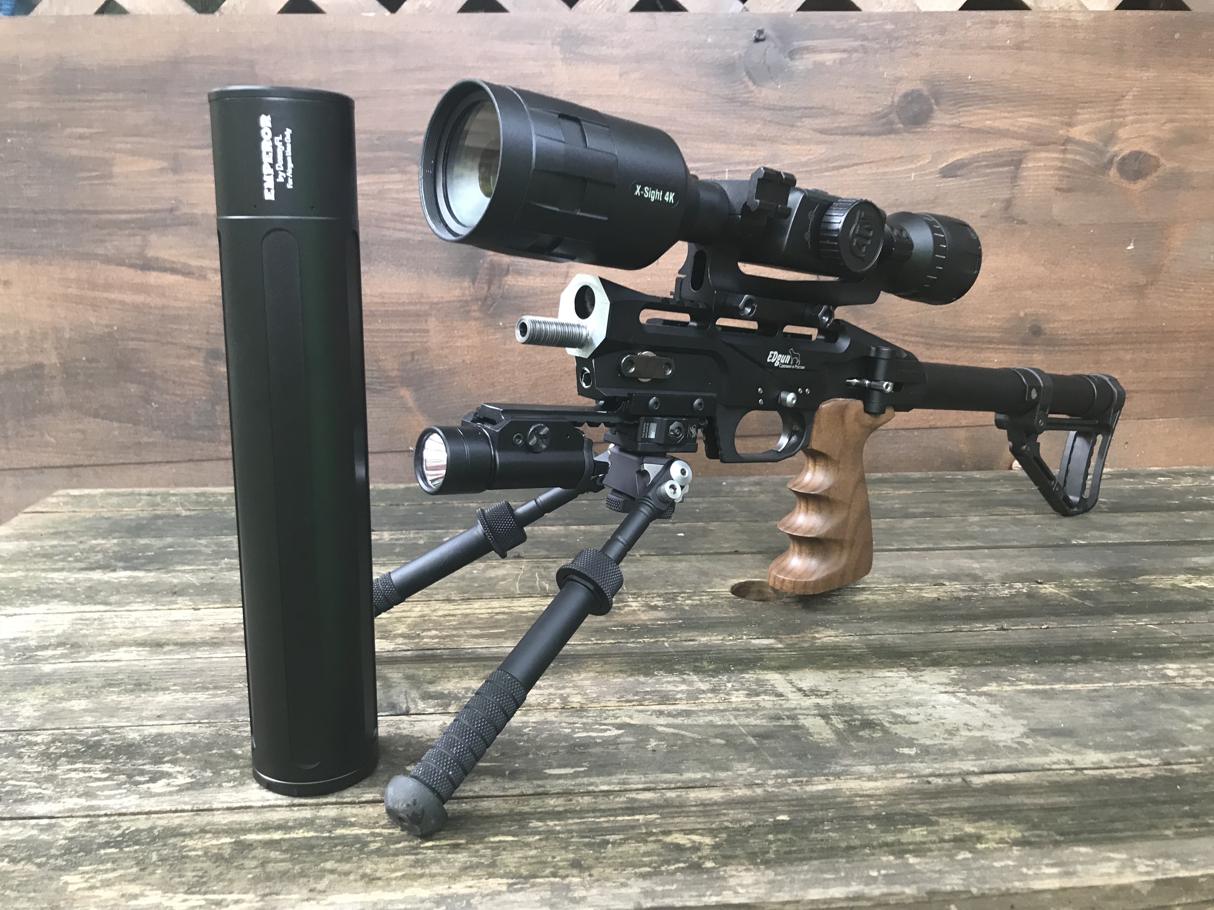 EDgun Leshiy, DonnyFL, Atlas Bipod, Streamlight TLR-1 IR
