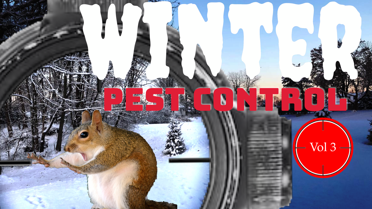 Pest Control with the EDgun Leshiy, Leyla, R5M, and the ATN X-Sight 4K Pro