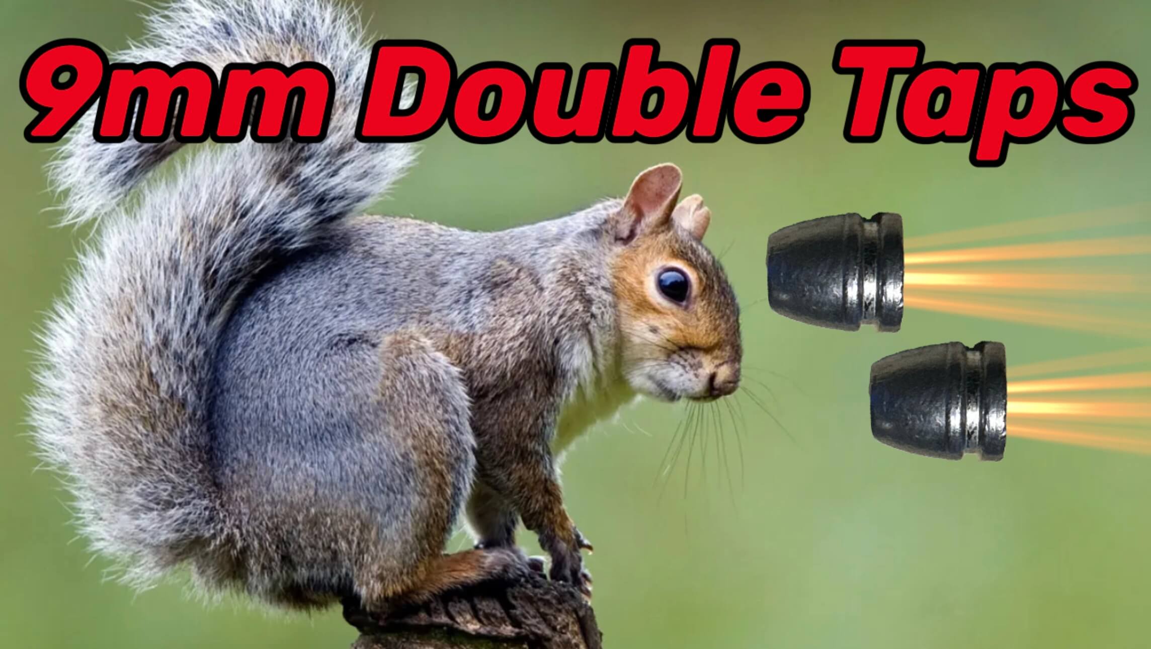 9mm EDgun Leshiy 2 - Double Tapping Squirrels