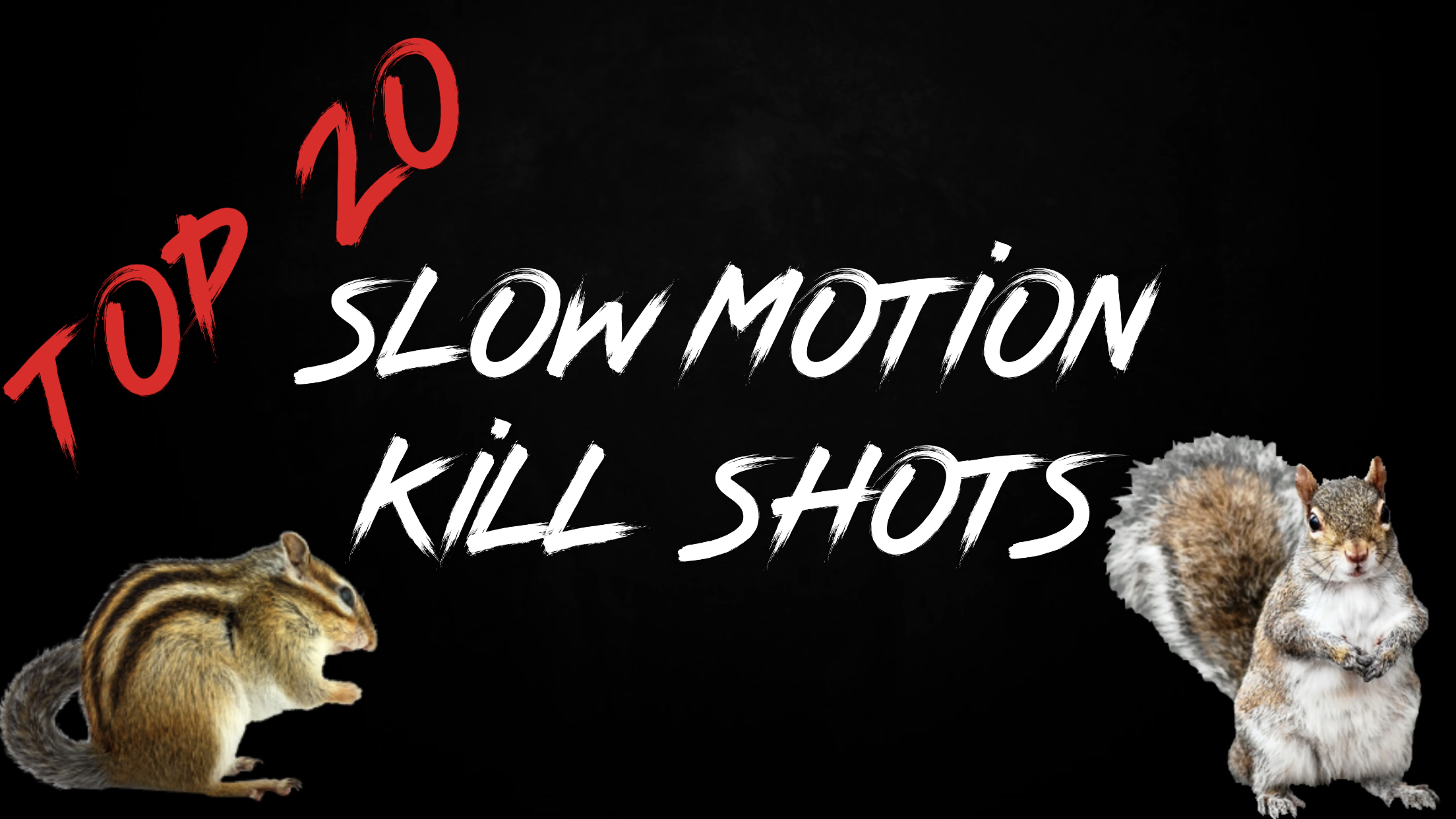 Top 20 Slow Motion Pest Control Kill Shots with the EDgun Leshiy and ATN X Sight 4K Pro