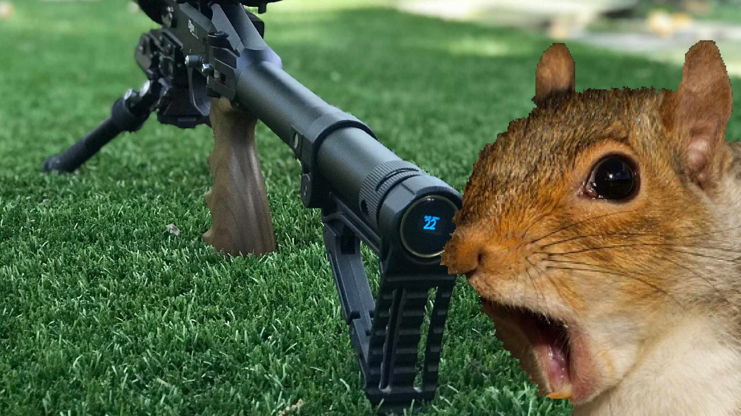 backyard pest control with the EDgun Leshiy and ATN X Sight 4K Pro