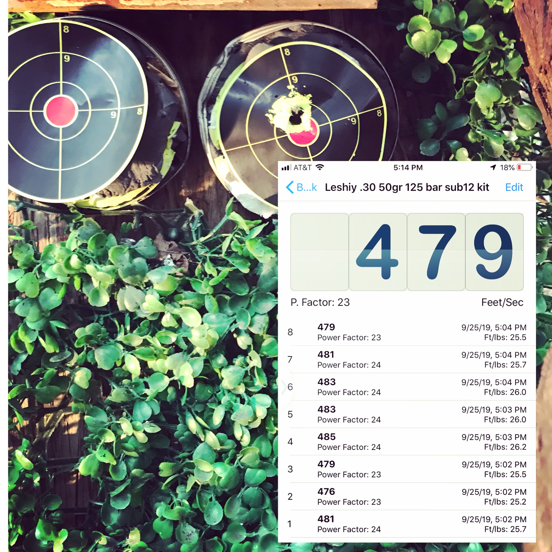 Airgun 101 - EDgun Leshiy Dirty 30 Tune