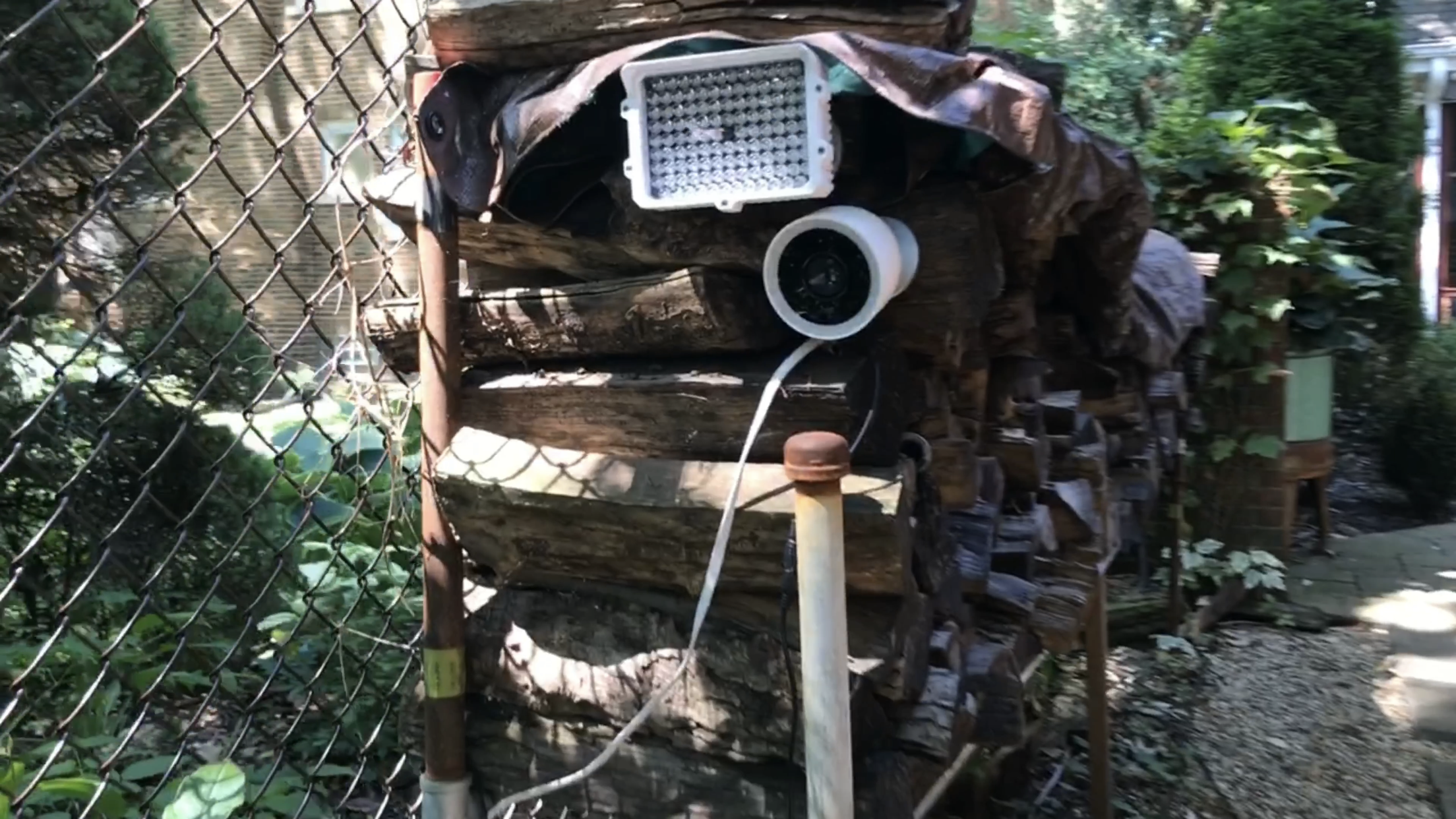 Airgun 101 Nest Camera