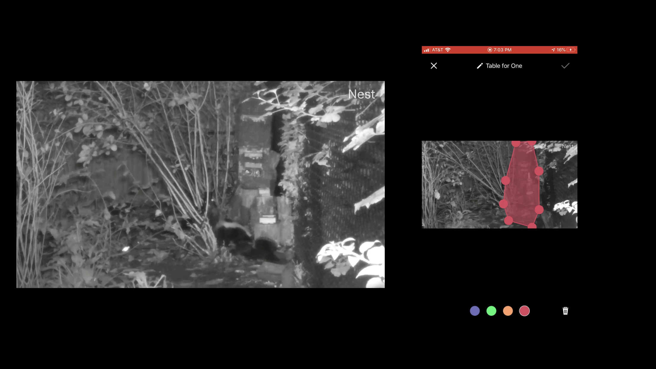 Airgun 101 backyard pest control security camera