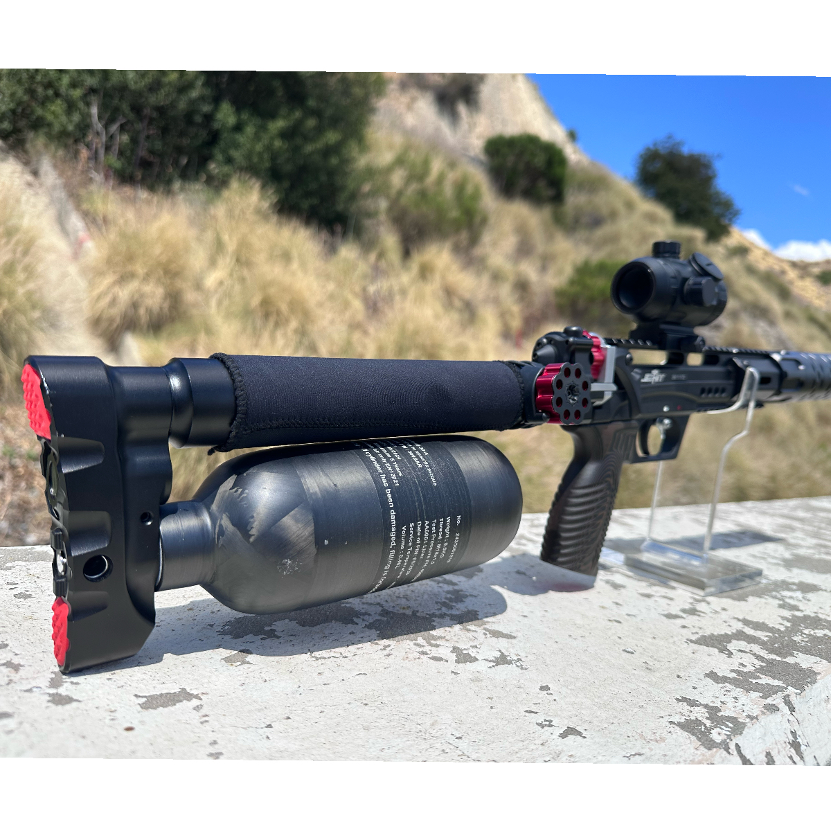 Edgun Leshiy 2 Wolverine short .25 Pre-owned