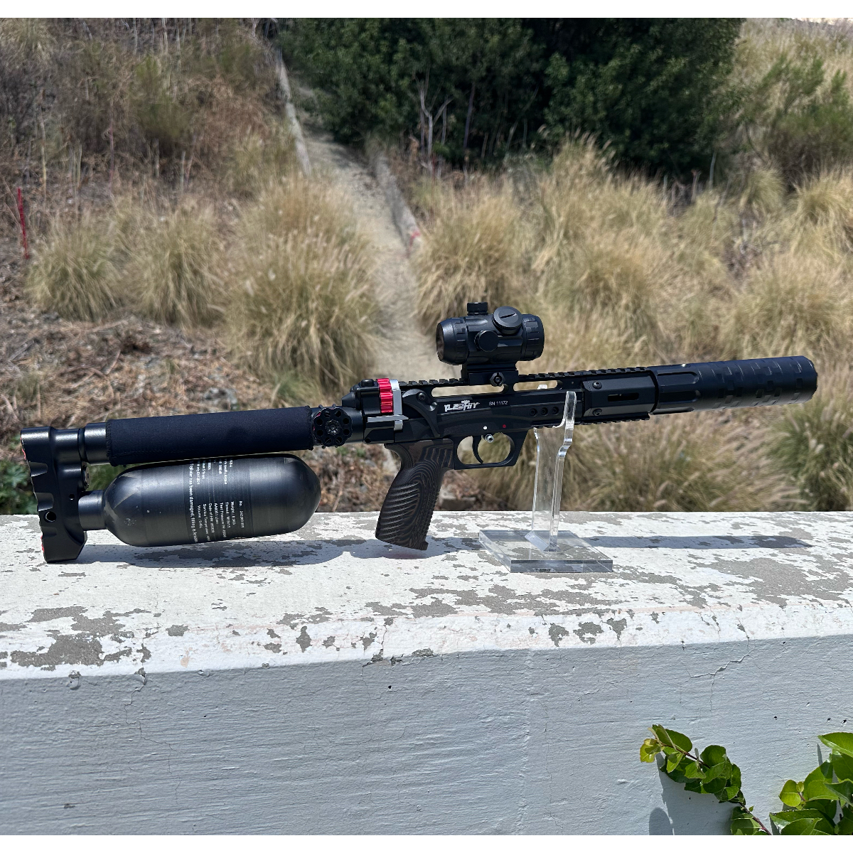 Edgun Leshiy 2 Wolverine short .25 Pre-owned